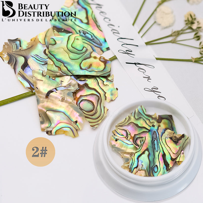 Concha de Mar Natural Concha de Mar BK-02