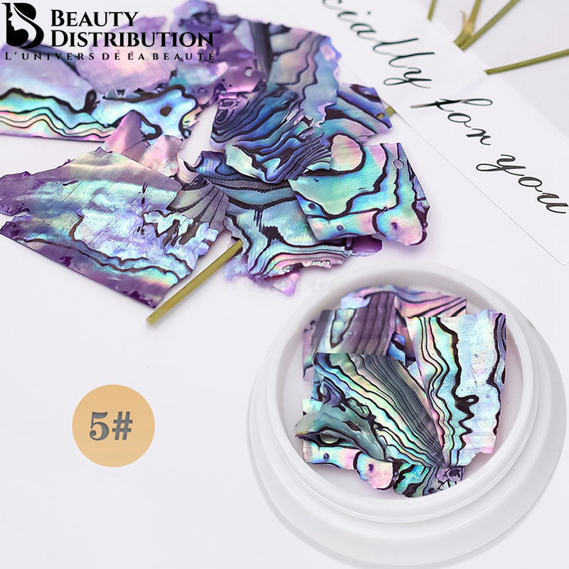 Natural Sea Shell Coquille De Mer BK-05