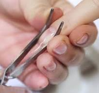 Pince A Pincher Pour Ongle