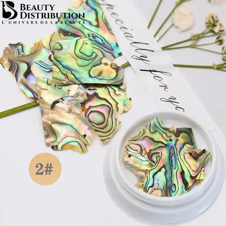 Natural Sea Shell Coquille De Mer BK-02 Beauty Distribution