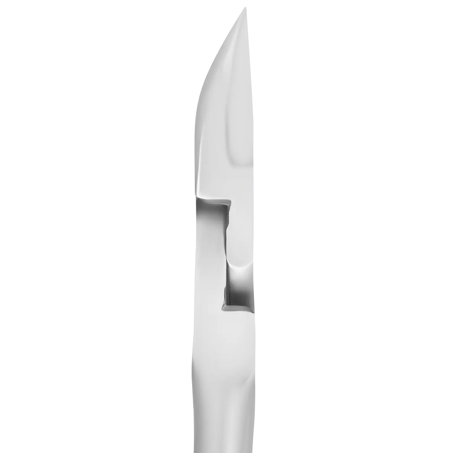 Pince à ongles Professionnelle STALEKS PRO Expert NE-60-16 MM Beauty Distribution