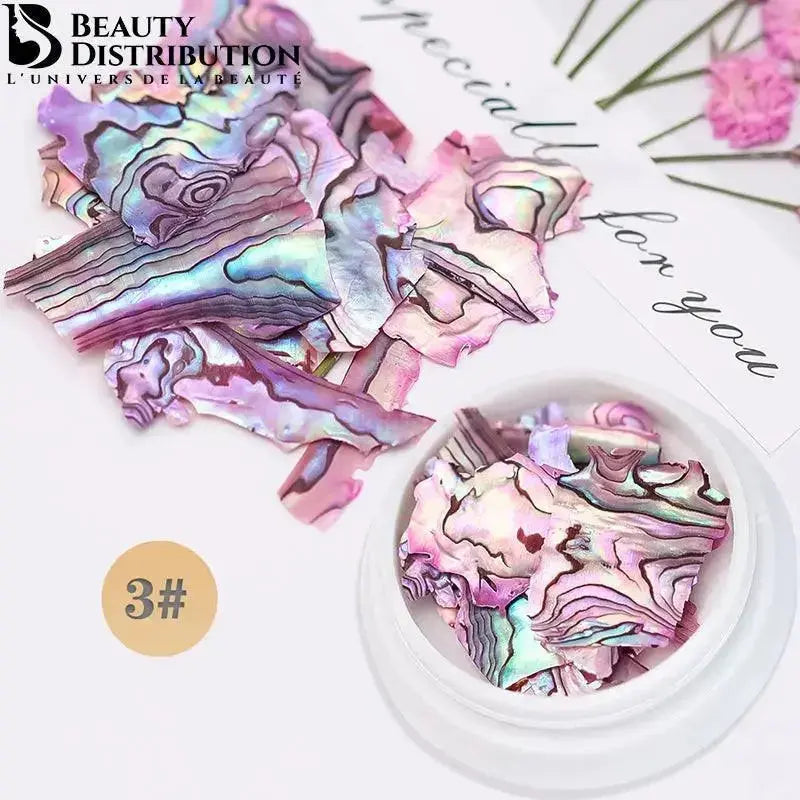 Natural Sea Shell Coquille De Mer BK-03 Beauty Distribution