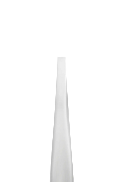 Pince à épiler Staleks Pro Expert TE-10/2 à mors droits et étroits