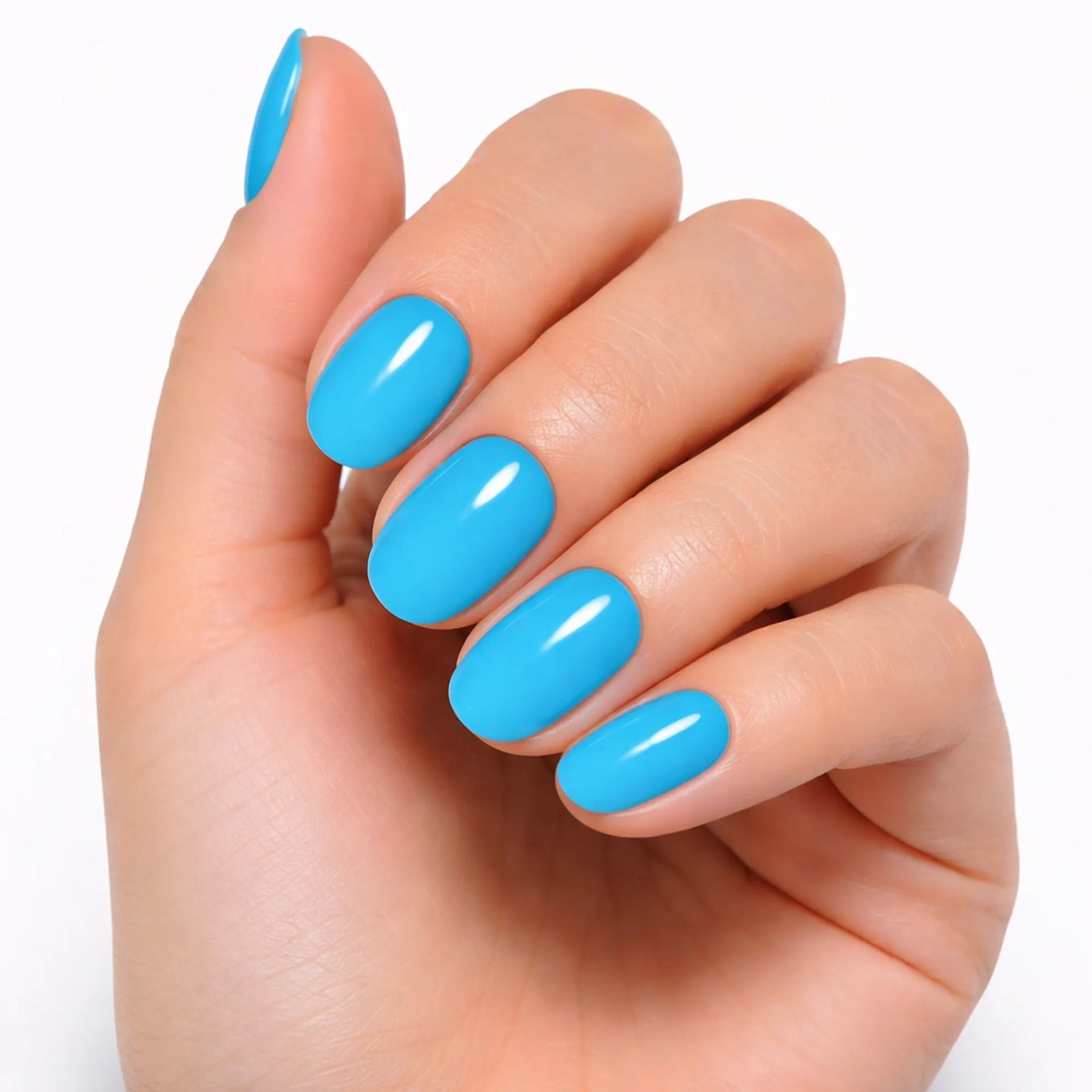 Vernis à Ongles Bleu n°12  Beauty Distribution 