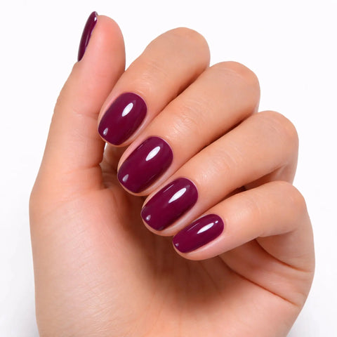 Vernis Professionnel  Prune 
