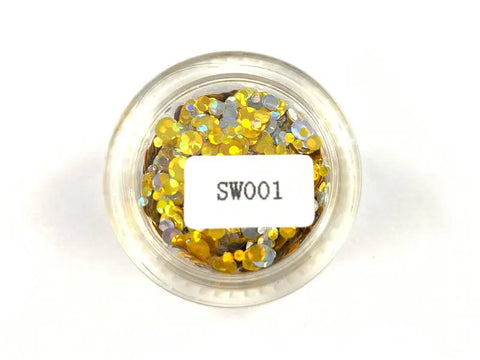 Sequins SW001 Beauty Distribution